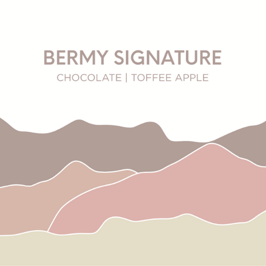 Bermy Signature